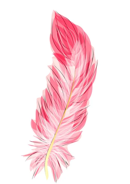 Flamingo feather — Stock Vector