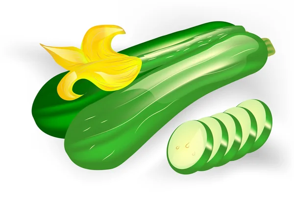 Courgettes — Stockvector