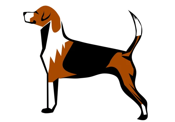 Fox hound — Stock Vector