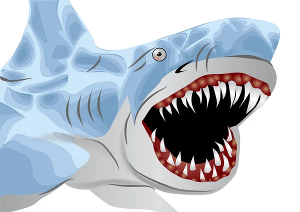 Grande tubarão branco — Vetor de Stock