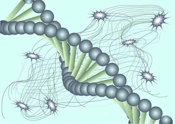 Blue model of the DNA — Stock Vector