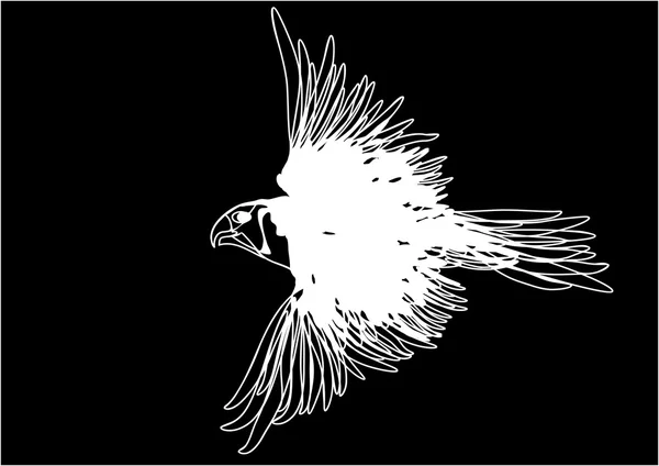 Λευκό bird1 — Διανυσματικό Αρχείο
