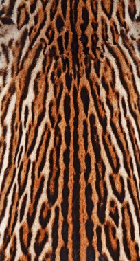 leopar kürkü arka plan