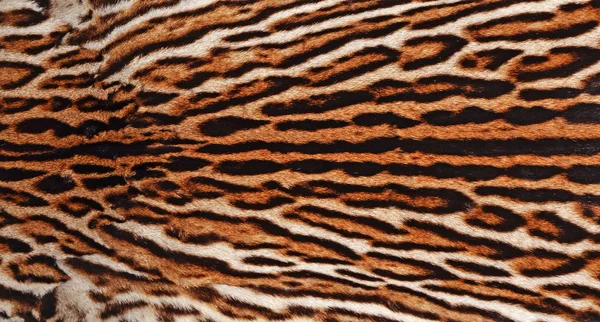 leopard fur