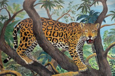 Jaguar orman