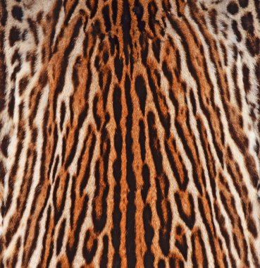 Leopar deri dokusu