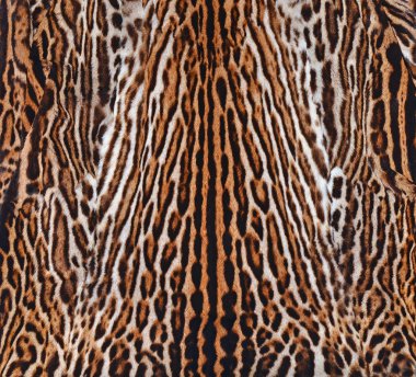 Leopar deri dokusu