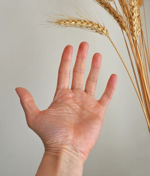 Mano y oreja — Foto de Stock