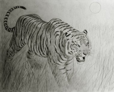 gün batımında kaplan