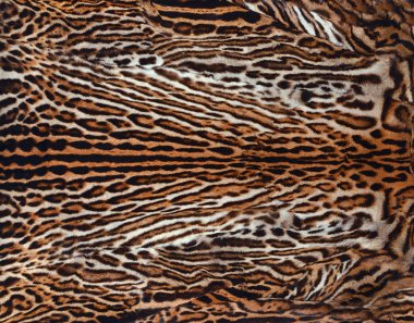 Gerçek leopar deri