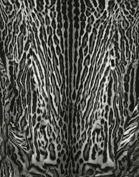 Real leopard skin details Royalty Free Stock Photos