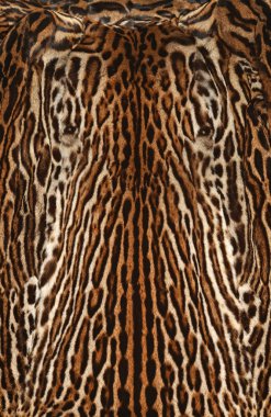 gerçek kürk leopar