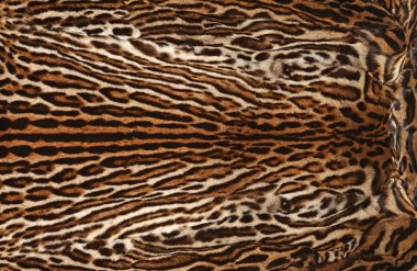 Gerçek deri, leopard