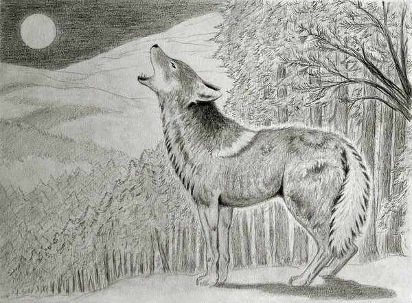 Kojot wycie na księżyc — Zdjęcie stockowe