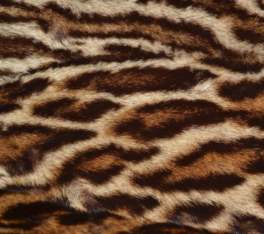 leopar kürkü doku