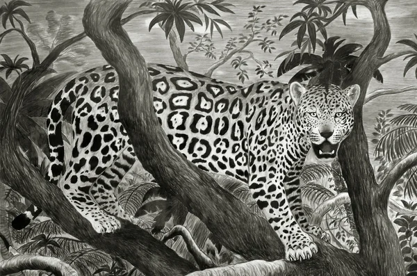 Jaguar in jungle — Stockfoto