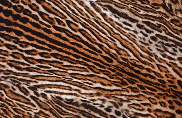 Leopard skin background — Stock Photo, Image