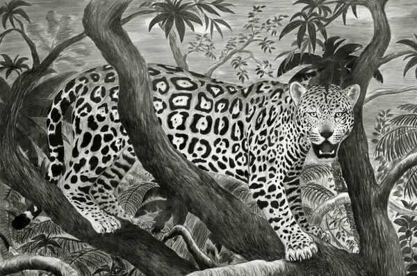 Jaguar στη ζούγκλα Royalty Free Φωτογραφίες Αρχείου