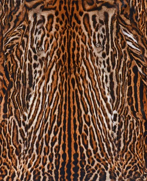Leopard skin bakgrund Royaltyfria Stockbilder