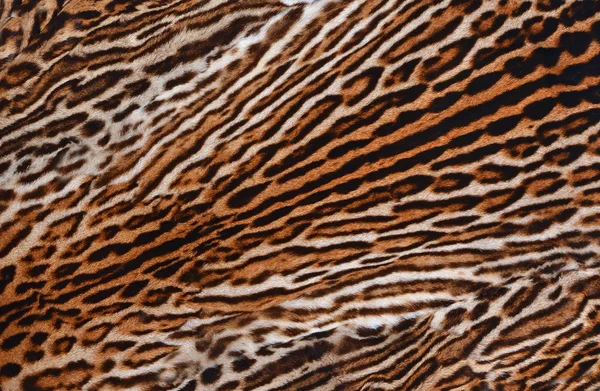 Leopard skin bakgrund Royaltyfria Stockfoton