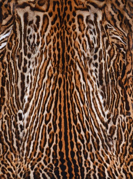 Leopard skin background — Stock Photo, Image