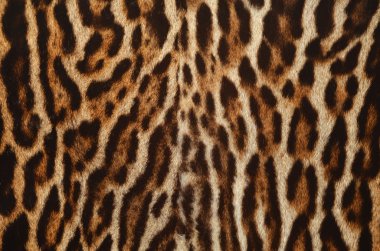 leopar kürkü doku