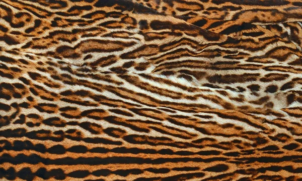 Leopard fur texture — Stock Photo, Image