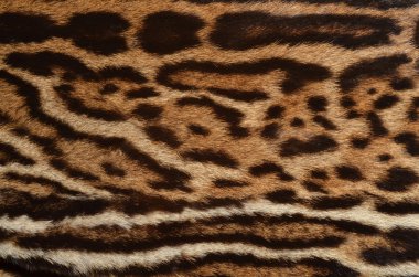 Ocelot fur background clipart