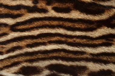 leopar kürkü doku