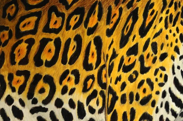 Jaguar μοτίβο — Φωτογραφία Αρχείου