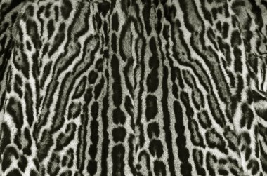 Leopar deri arka plan