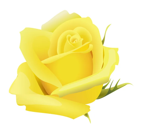 Amarelo rosa flor —  Vetores de Stock