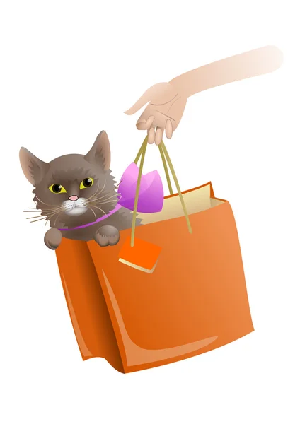 Katze im Geschenkpaket — Stockvektor