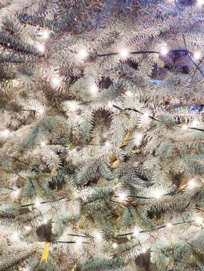 Karda yanan bir çelenkle Noel ağacı