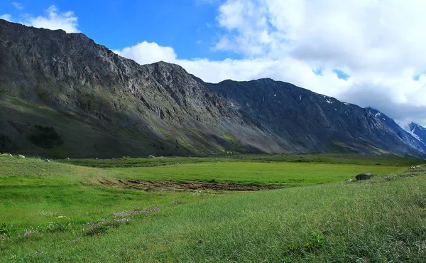 Yazın Altai 'deki Akkol nehri vadisinde uzun kayalık bir dağ sırtı, çimenli ve çiçekli bir çayır, güneşli, bulutlu bir gökyüzü.