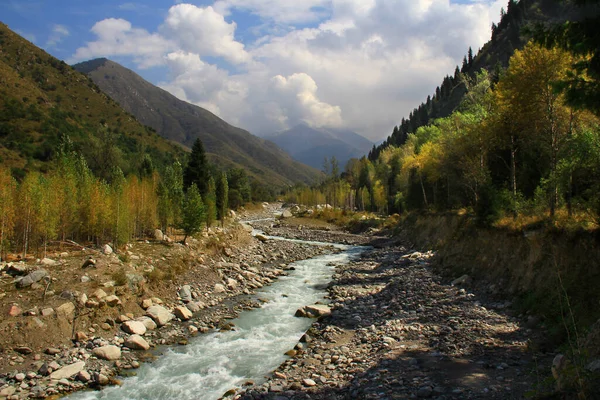 Mountain Gorge Autumn River Flows Middle Stones Banks Yellow Green — Stock fotografie