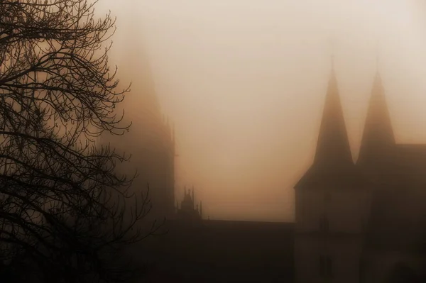 Towers of the Catholic Cathedral with spiers and windows are visible in the fog, tree branches on the left, backlight, a cloudy winter day