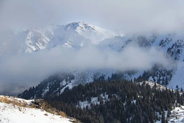 Alatau 'nun karlı dağ sıralarında, bulutlar alçaldı, kayalık tepeler, alçak dağlarda bir orman büyüdü, kış, güneşli