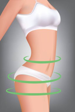 Kadın vücudu. vektör illüstrasyonu