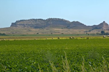 Arka planda kayalıklarla çevrili saman tarlaları olan tarım arazileri