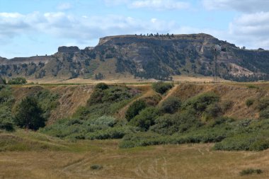 Yel değirmeni, uzak bir otlaktaki sığırlara su pompalıyor.