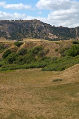Nebraska 'nın sığır yetiştiren ülkesinde yuvarlanan çayır tepeleri