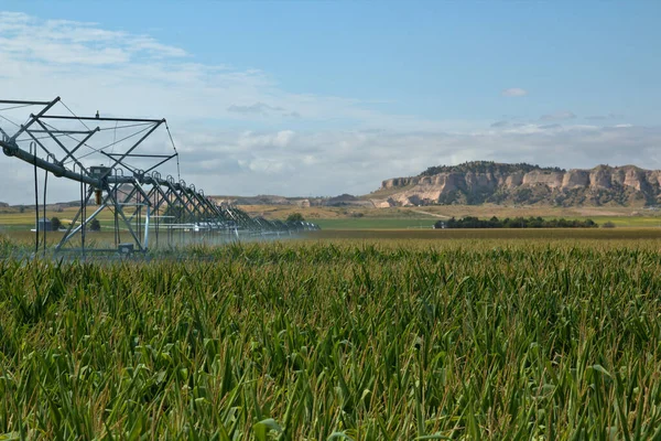 Center Pivot Irrigation Watering Corn Crop Western Nebraska — Stock Photo, Image