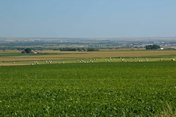 Sanfte Hügel Abgelegenen Farmland Von Nebraska — Stockfoto