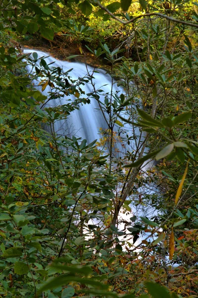 Escénico Silver Run Water Falls Través Densa Vegetación Suroeste Carolina — Foto de Stock