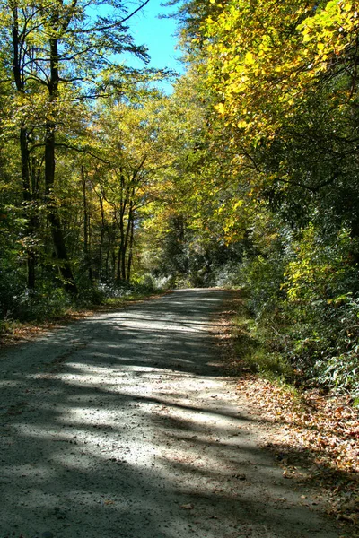 Podzimní Barvy Vodopádů Severní Karolíny — Stock fotografie