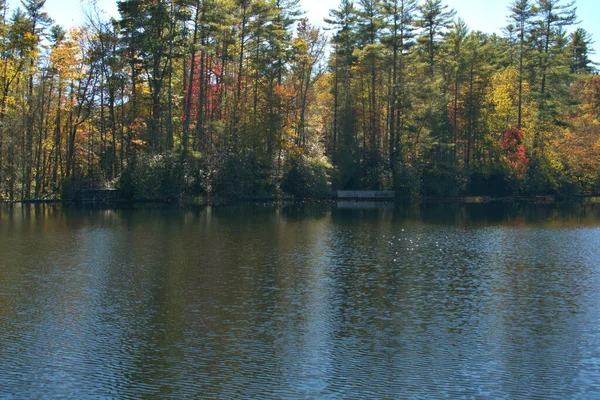 五彩缤纷的落叶环绕的山湖 — 图库照片
