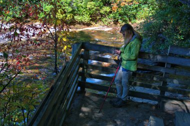 Güney Carolina 'da yürüyüş yolunda sonbahar renkleri