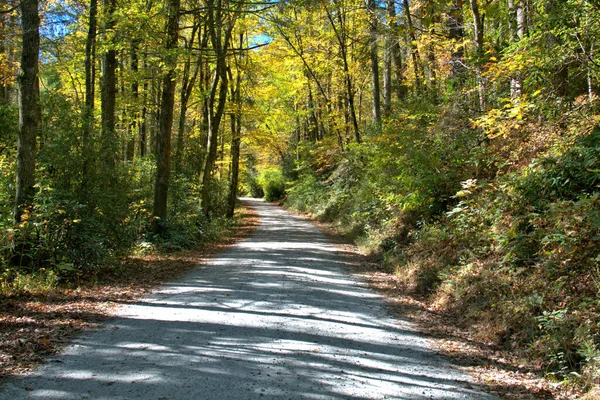 蓝色山脊大道附近的一条山路上 黄褐色的秋色点缀着一条山路 — 图库照片