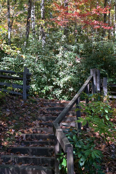 Dřevěný Plot Obklopuje Schodiště North Carolina Federální Park Podzimními Barvami — Stock fotografie